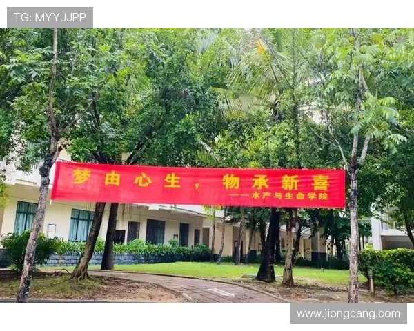 关于秋季体育类联赛标题（体育联赛标语）sports